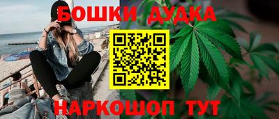 ГАЛЛЮЦИНОГЕННЫЕ ГРИБЫ Будённовск