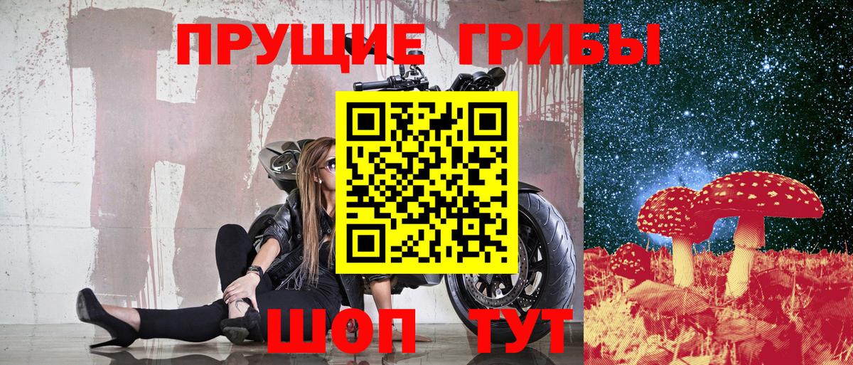 Галлюциногенные грибы мухоморы Усть-Джегута